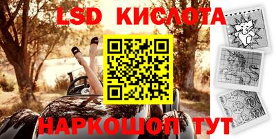 прущие грибы Краснокаменск