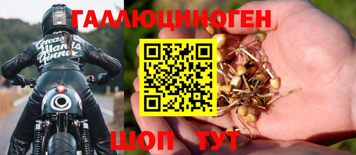 Галлюциногенные грибы прущие грибы Костомукша
