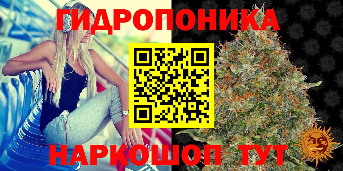 Костомукша  Канабис планчик  Бошки марихуана планчик  Каннабис MAZAR  Марихуана гибрид  Вход с VPN 